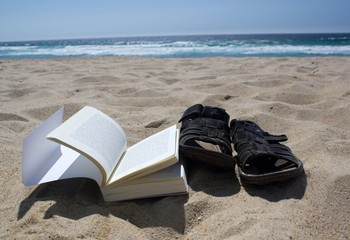 Book and Beach