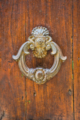 door with metal knocker