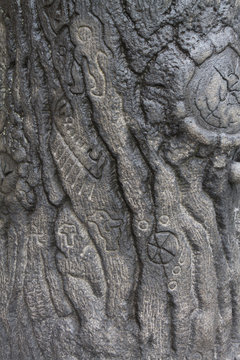 текстура каменного дерева