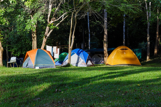 Dome tents in forest camp