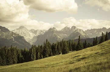 Zelfklevend Fotobehang Vintage mountains landscape © Leszek Czerwonka