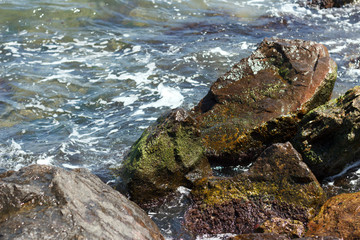 Sea wave hits rocks