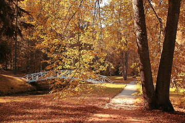 Road in the autumn forest