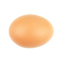 Close up of an egg isolated on white background