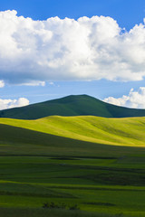 Obraz premium colline a castelluccio