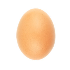 Close up of an egg isolated on white background