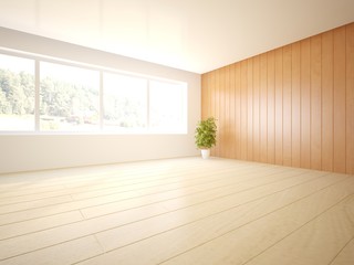 white modern interior design