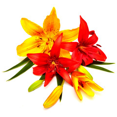 Bouquet of Lilies red and yellow flowers