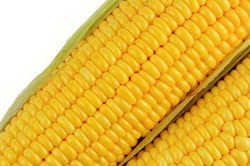 Corn