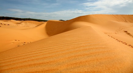 Fototapeta na wymiar Düne/Wüste im süden Vietnams