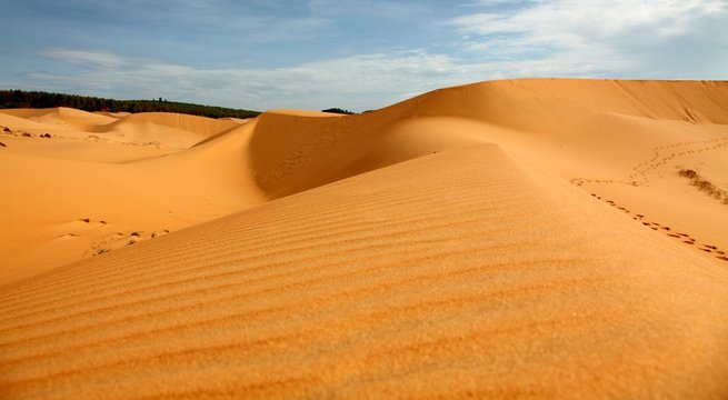 Düne/Wüste im süden Vietnams