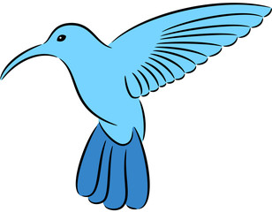 Hummingbird