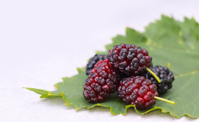 Mulberries on a leaf