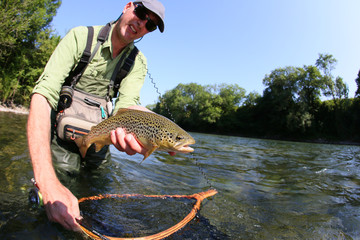 Fly-fisherman catching brown trout in river