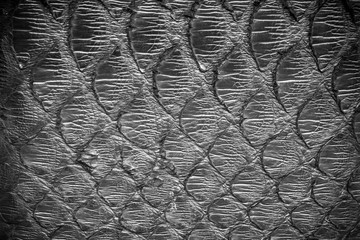 Black  python  leather, skin texture for background.