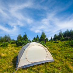 white touristic tent on a forest glade