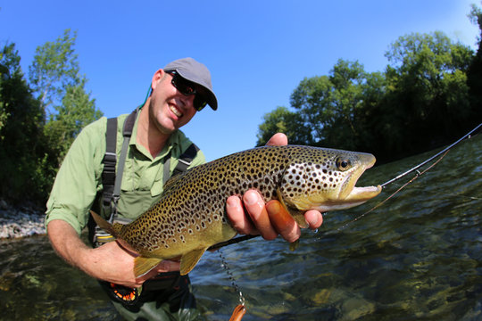 Closeup of fly-fisherman holding brown truit in river