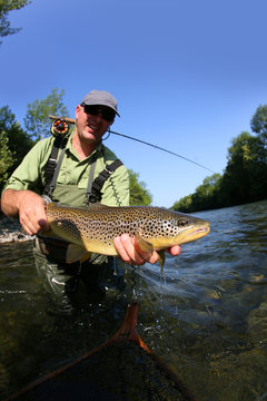 Closeup of fly-fisherman holding brown truit in river