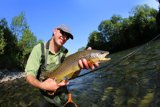 Closeup of fly-fisherman holding brown truit in river