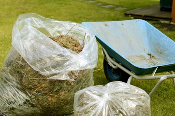 Obraz premium 庭掃除