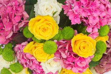 pink  hortensia flowers
