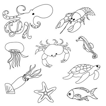 Sea animals  coloring page