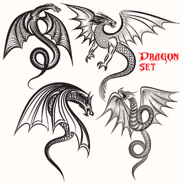Tattoo collection from hand drawn dragons for design