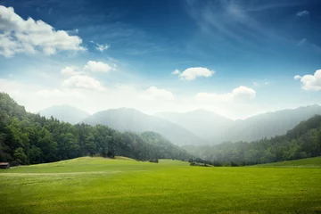 Foto op Plexiglas groene weide en heuvels met bos © ArtFamily