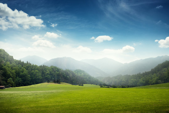 green meadow and hills with forest