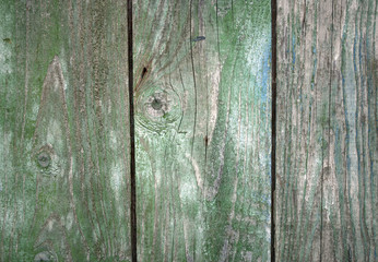 Fototapeta na wymiar alter Holz Hintergrund grau / grün