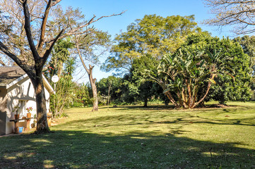 Garden in winter, South Africa