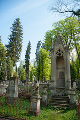 Fototapeta na wymiar Old crypt in a cemetery in Lviv