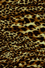 Tiger textile piece of clothes