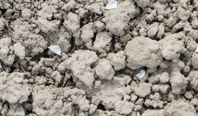 Textures land soil with cracks