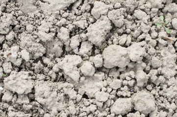 Textures land soil with cracks