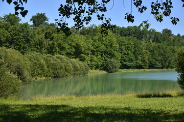 Reflet dans l'étang aux eaux couleur émeraude au Périgord Vert