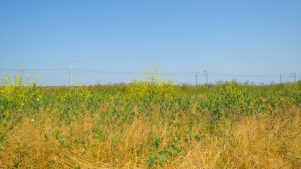 Railroad through a sunny landscape in summer