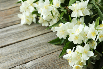 White flowers of jasmine on grey wooden background