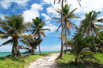 Fototapeta na wymiar Path on caribbean beach