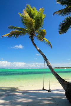 Seesaw on palm beach