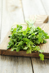 Parsley on grey wooden background