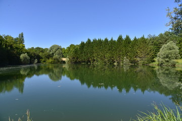 Fototapeta na wymiar L'étang aux eaux vertes sous un ciel bleu d'été à Vendoire
