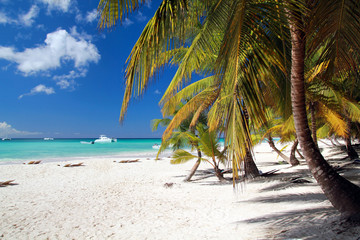 Caribbean beach