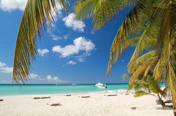 Obraz na płótnie Canvas Calm beach on caribbean sea