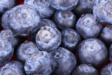 Whortleberries