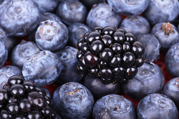 Whortleberries and blackberry