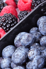 Whortleberries, raspberry and blackberry