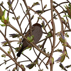 Branches with new green shoots or sprout and bird. Seamless background