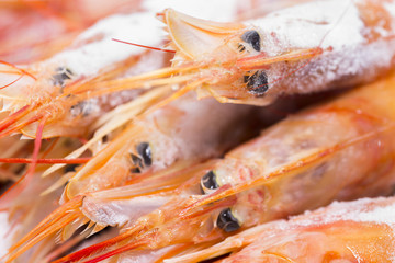 Langostinos.