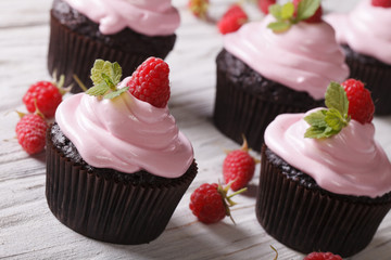 Raspberry cupcakes with fresh mint on a table close-up. horizontal